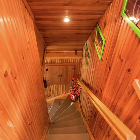 Prázdninový dům Sunny Terrace & Quiet *