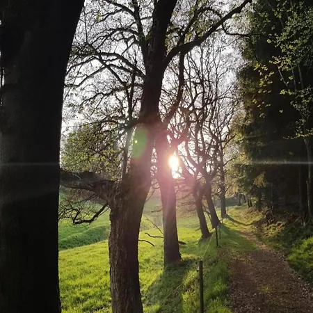 Sunny Terrace & Quiet Prázdninový dům Friedrichroda