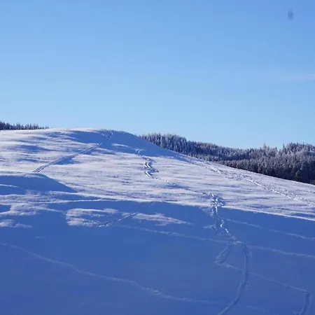Sunny Terrace & Quiet *