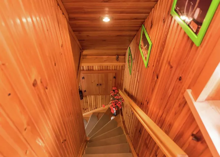 Tatil Evi Sunny Terrace & Quiet *