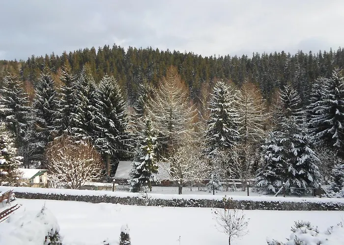 Sunny Terrace & Quiet *