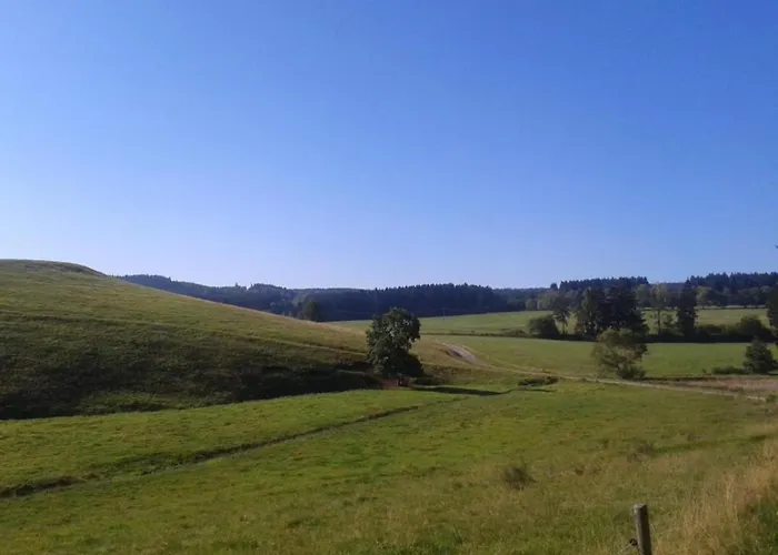 Sunny Terrace & Quiet *
