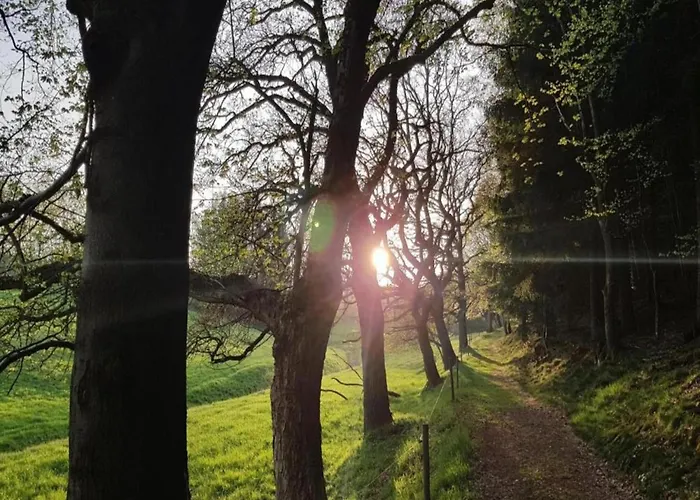 Sunny Terrace & Quiet Tatil Evi Friedrichroda