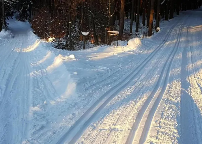 Tatil Evi Sunny Terrace & Quiet Friedrichroda