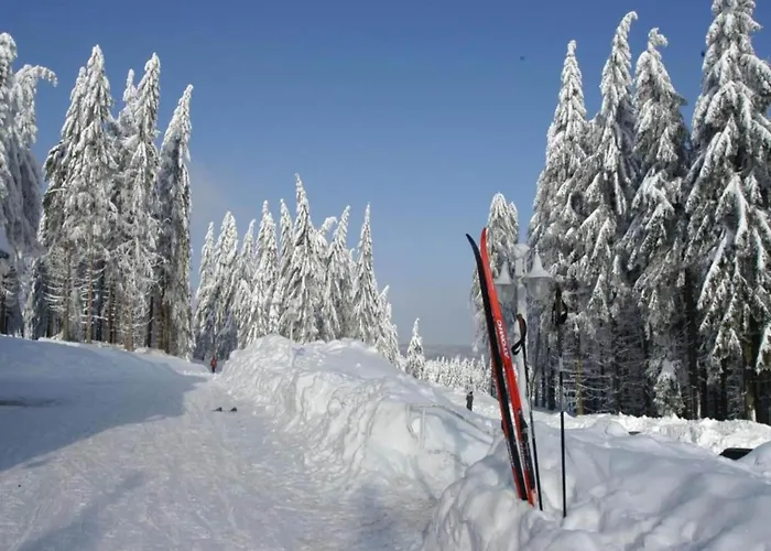 Sunny Terrace & Quiet Friedrichroda