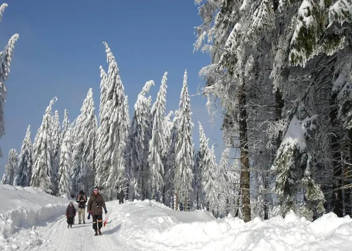Sunny Terrace & Quiet Tatil Evi *