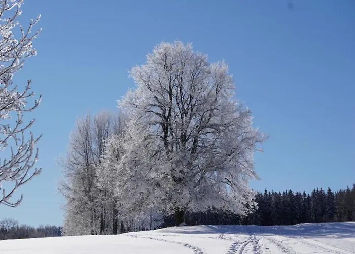 Sunny Terrace & Quiet Tatil Evi *
