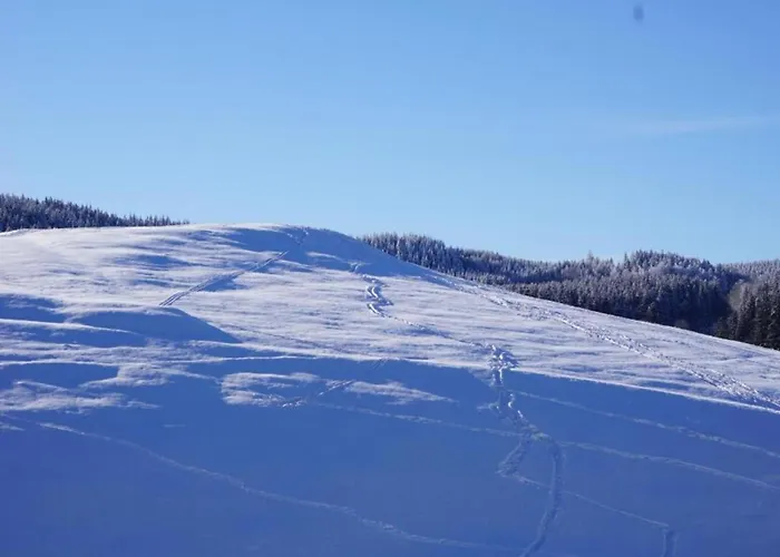 Sunny Terrace & Quiet *
