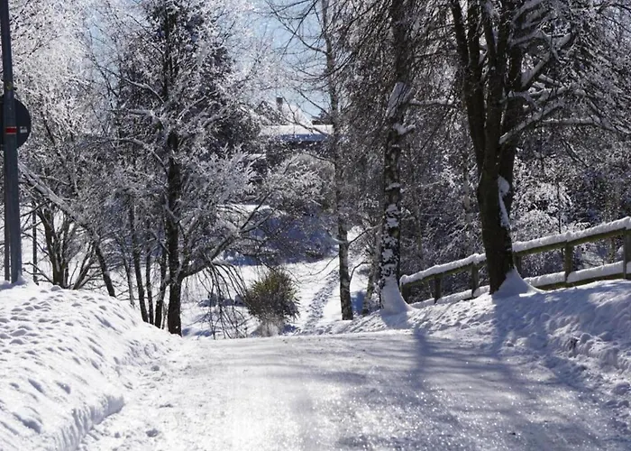 Sunny Terrace & Quiet Tatil Evi *